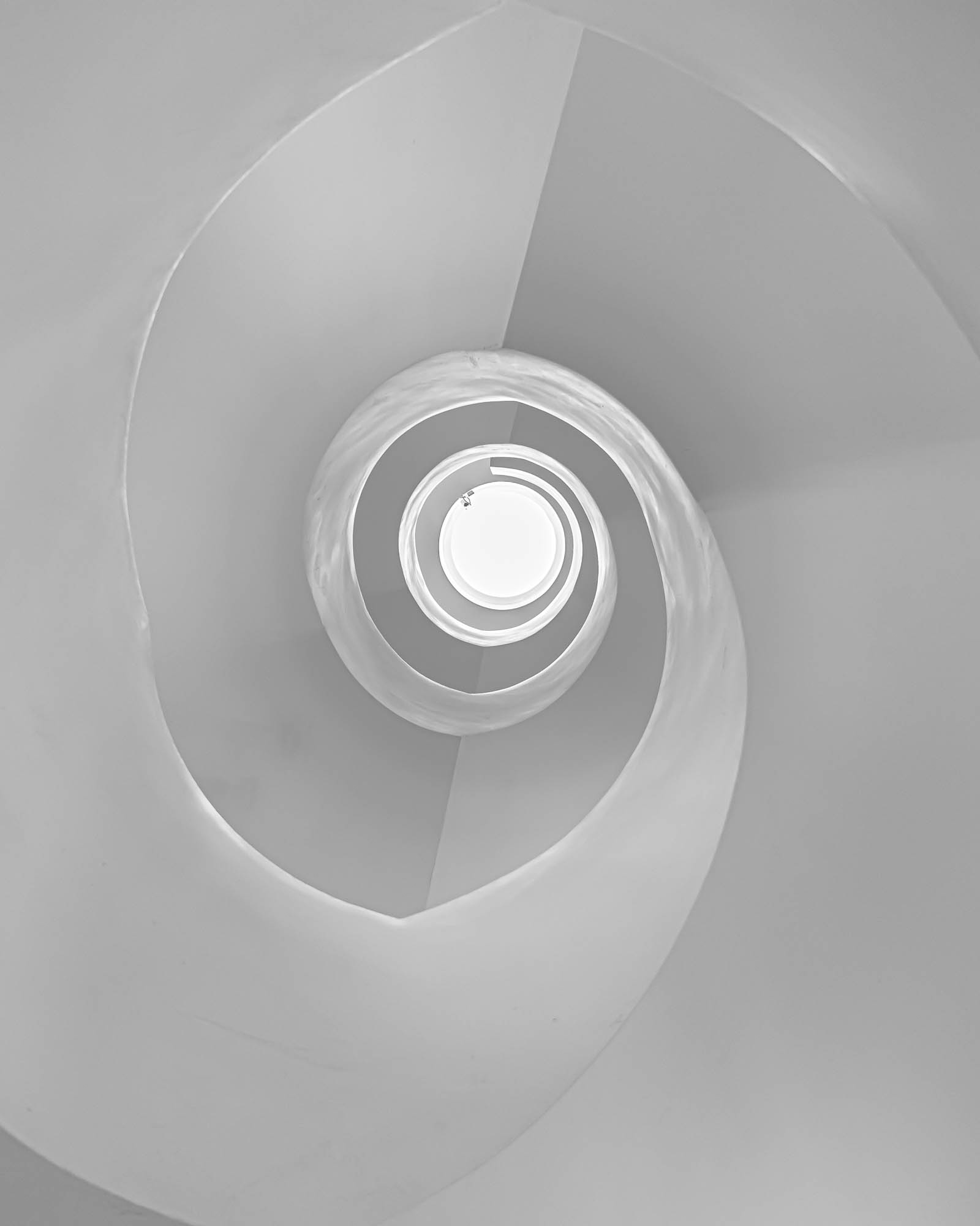 230604