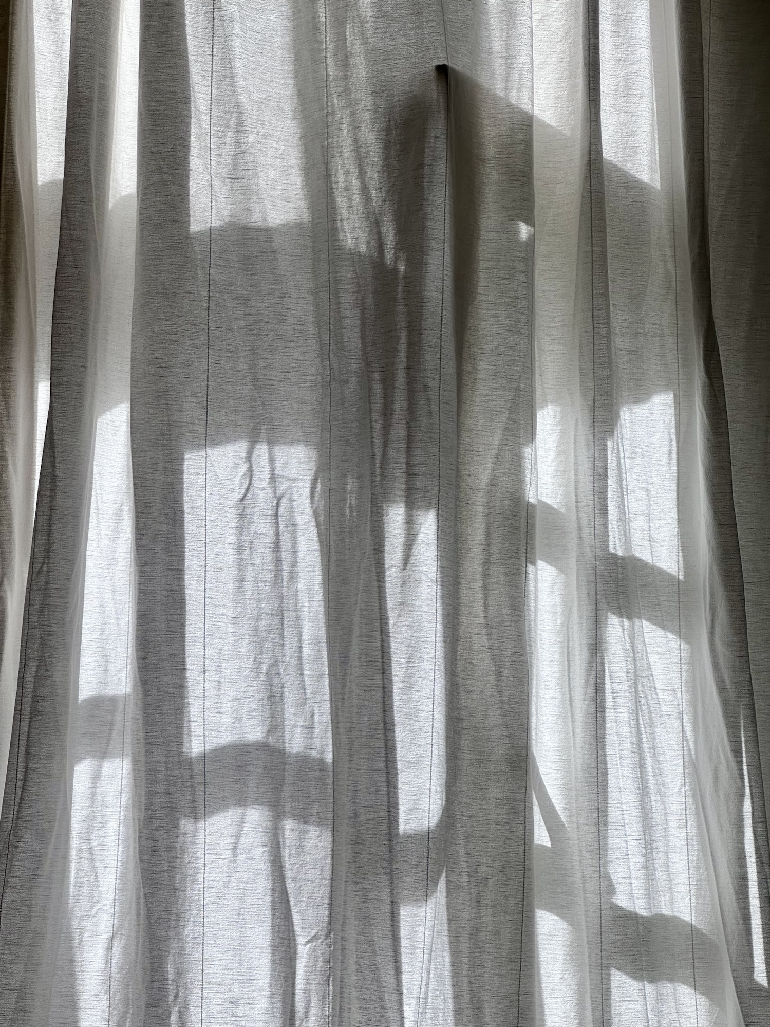 240223