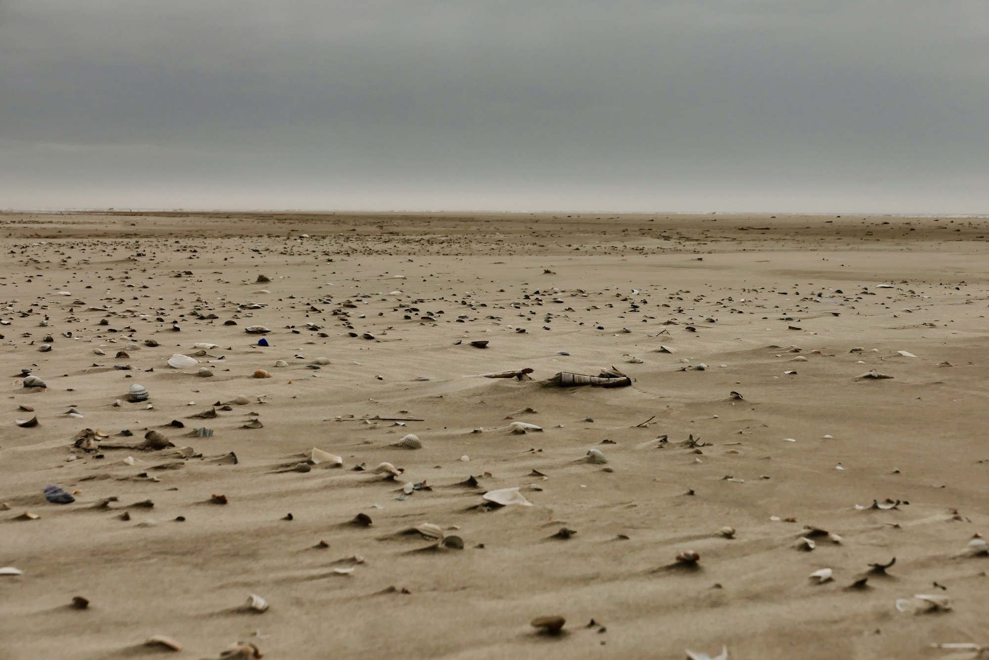Amrum 2024
