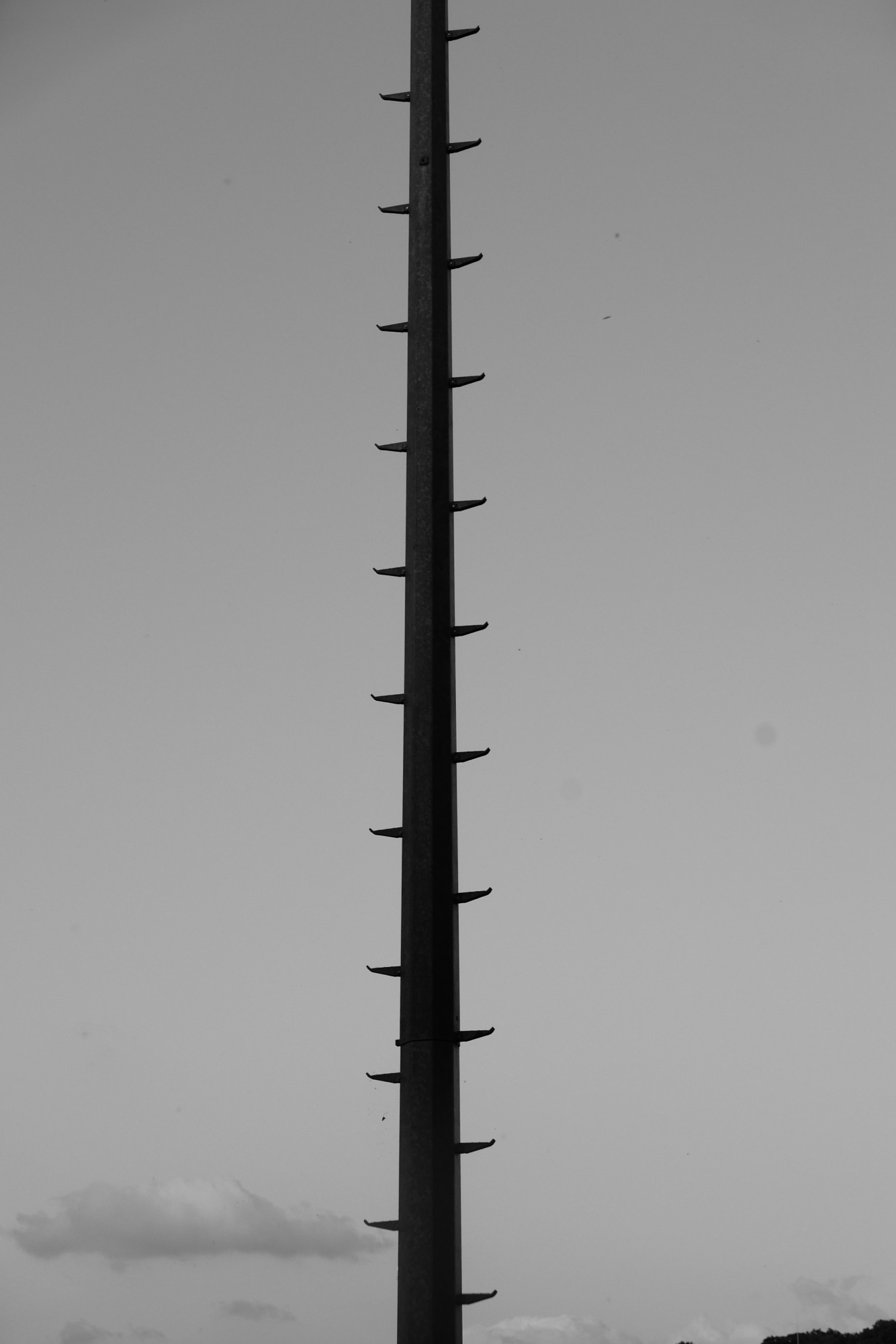 250623